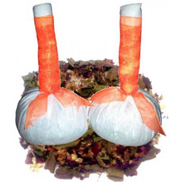 Pindas (Corpo) - Drenagem Ancestral Pindas (Corpo) - Drenagem Ancestral